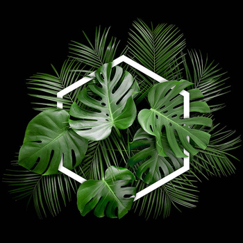 Panel monstera W135
