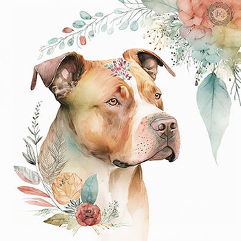 Panel boho pies pitbull wd83