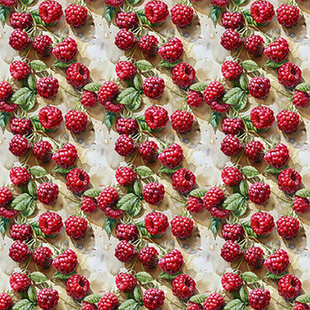 Panel owoce z ogrodu maliny wr167