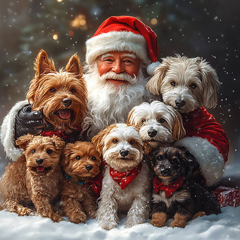 Panel święta, Mikołaj i psy