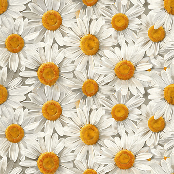 Panel kwiaty stokrotki wr320