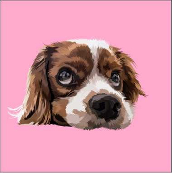 Panel pies Cavalier king charles spaniel W30