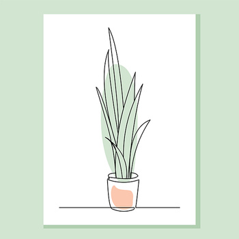 Panel kwiaty doniczkowe Sansewieria wr343