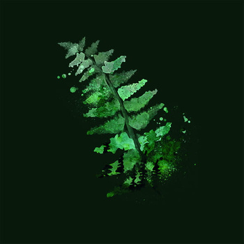 Panel las paproć wx198