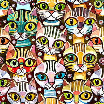Panel kolorowe koty wk177