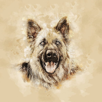 Panel pies Owczarek niemiecki