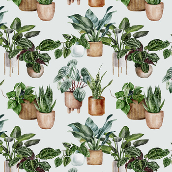 Panel kwiaty doniczkowe wr328