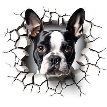 Panel pies Boston Terrier wd179