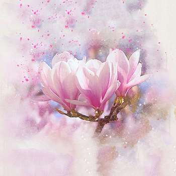 Panel magnolie kwiaty W949