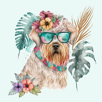 Panel boho pies york wd91