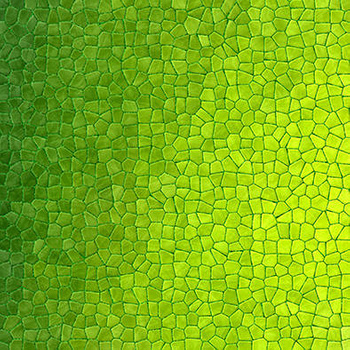 Panel kolorowa mozaika wba7