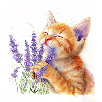 Panel kociak z lawendą wk221