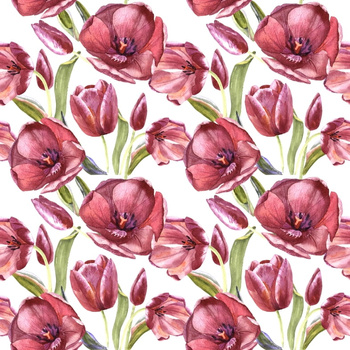 Panel tulipany W810b