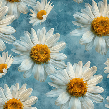 Panel kwiaty stokrotki wr318