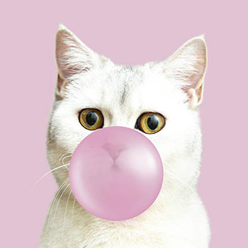 Panel kot balonowy wk120