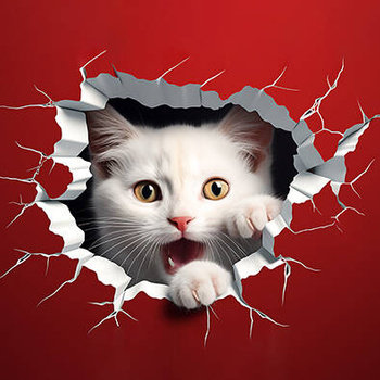 Panel biały kotek wk170