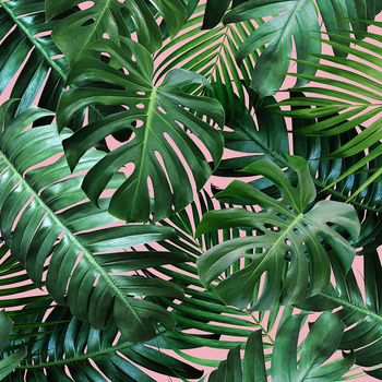 Panel monstera W134