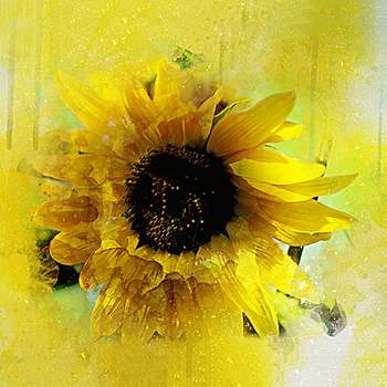 Panel kwiat słonecznika W953