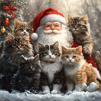 Panel kocie święta, Mikołaj i koty