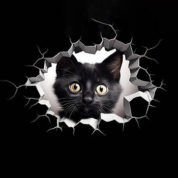 Panel czarny kotek wk182