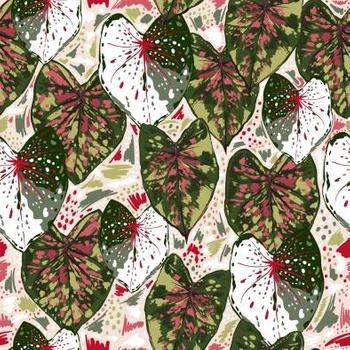 Panel liście caladium wr7