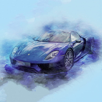 Panel auto Porsche wa11