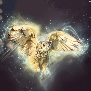 Panel sowa ptak wb12