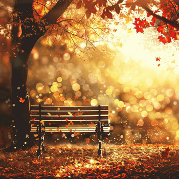 Panel ławeczka w jesiennym parku wr231