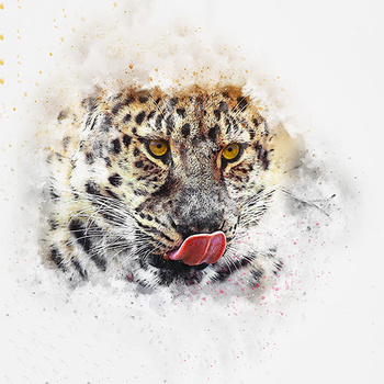 Panel leopard wk24