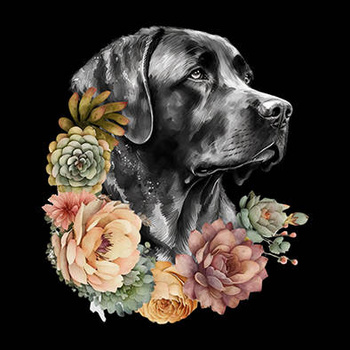 Panel czarno biały pies Labrador retriever i kwiaty wd92