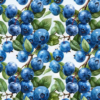 Panel owoce borówki amerykańskie wr140