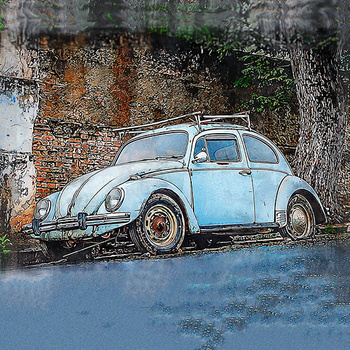 Panel auto Volkswagen Garbus wa10