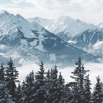 Panel las, góry wx225