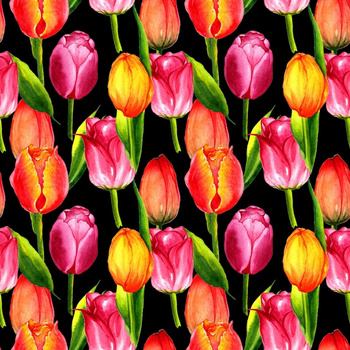 Panel tulipany W813a