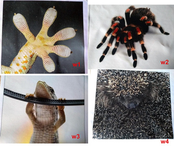 Panel na maseczkę mikrowłókno