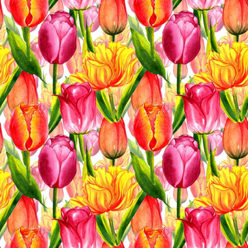 Panel tulipany W812a