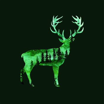 Panel las jeleń wx193