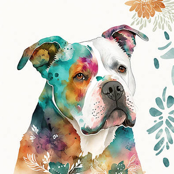 Panel boho pies amstaff wd81