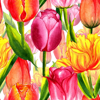 Panel tulipany W812
