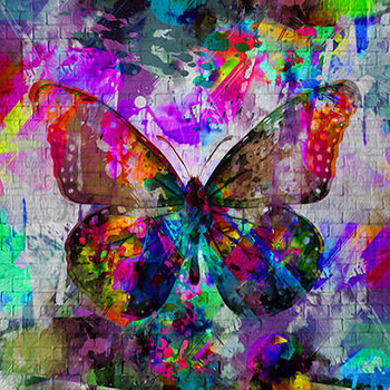 Panel motyl wo1
