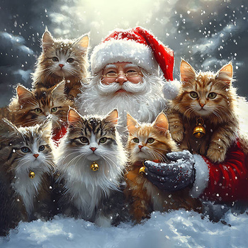 Panel kocie święta, Mikołaj i koty