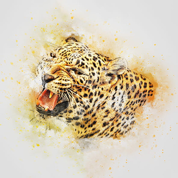 Panel leopard wk25