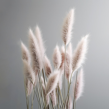 Panel kolorowa trawa pompasowa wr289