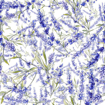 Panel kwiaty lawendy W967