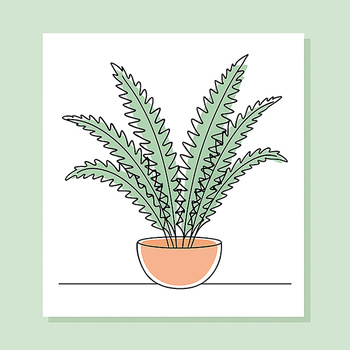 Panel kwiaty doniczkowe Paprotka bostońska wr347