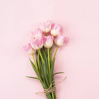 Panel kwiaty bukiet tulipanów wr86