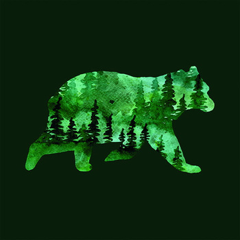 Panel las niedźwiedź wx191